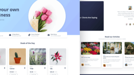 Mobirise Website Builder